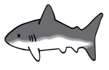 Shark Cutter STL File