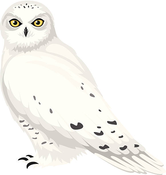 Snow Owl Cutter