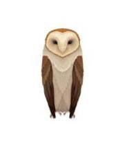Load image into Gallery viewer, Barn Owl Cutter
