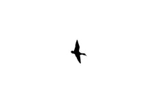 Load image into Gallery viewer, Duck 1 Fondant Cutter
