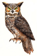 Load image into Gallery viewer, Horned Owl Cutter
