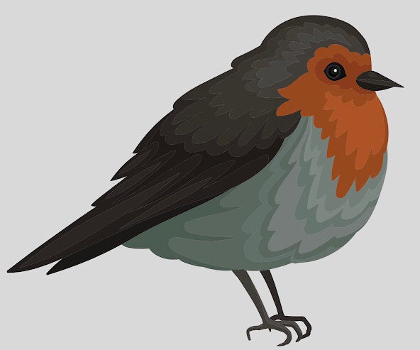 Robin Cutter